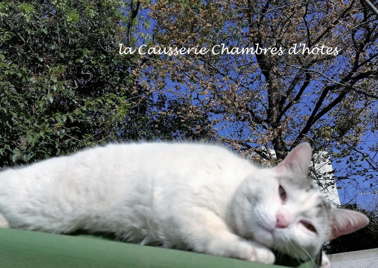 La Causserie, 2 Chambres D'Hotes, 2 A 4 Invites, Pour Vous Seuls Грама Екстериор снимка